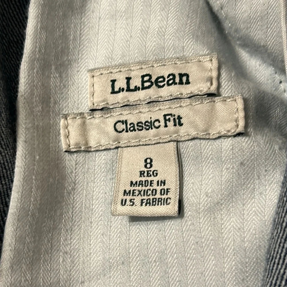 L.L. Bean Denim A-Line Skirt Classic Fit Size 8